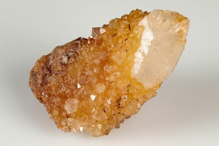 Sunshine Cactus Quartz Crystal - South Africa #191787